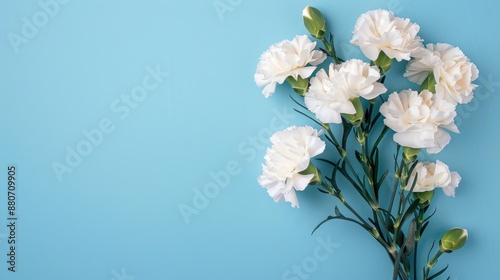 White carnation bouquet on blue background with space for text © pngking