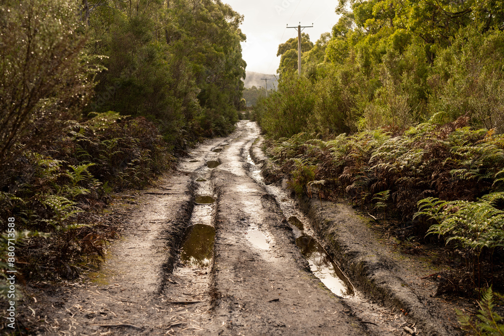 muddy dirt road in off the track in australia muddy dirt road in off the track in australia