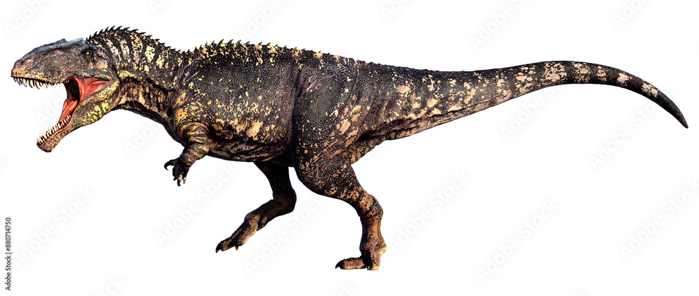 3D Rendering Dinosaur Gigantosaurus on White 3D Rendering Dinosaur Gigantosaurus on White