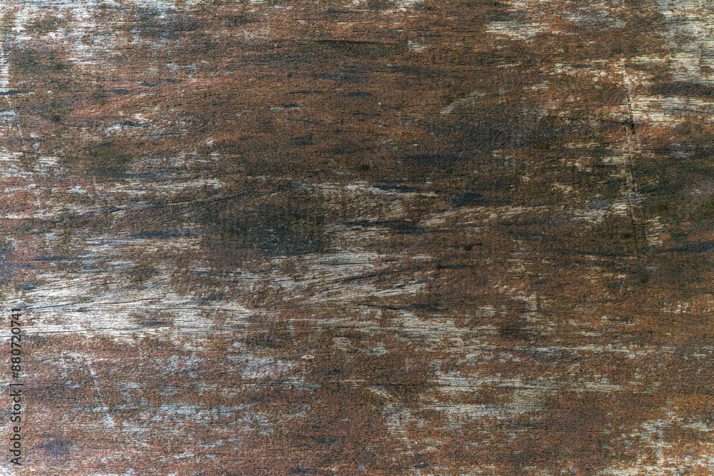 Forest Water Flow Texture on Grunge Wall Forest Water Flow Texture on Grunge Wall