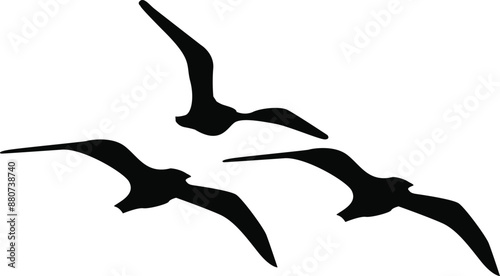 Three Seagulls Flying Silhouette Vector