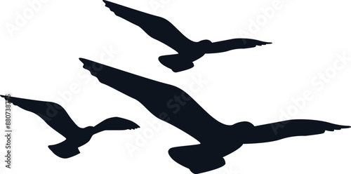 Three Seagulls Flying Silhouette Vector