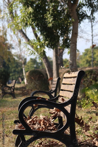 bench in the park