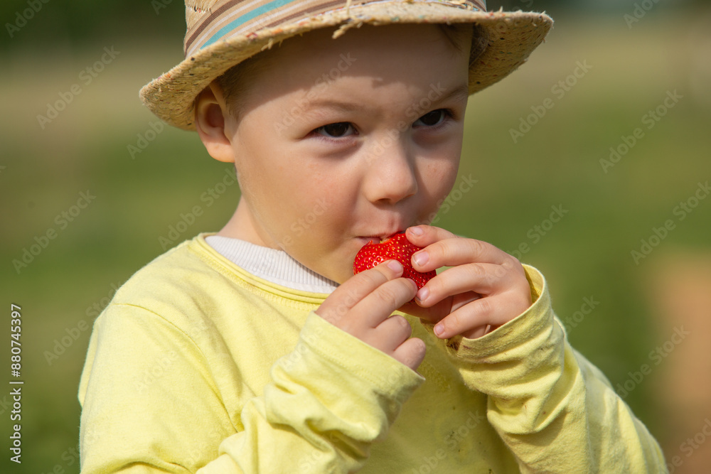 Kleinkind beim Erdbeeren selbst pflücken Kleinkind beim Erdbeeren selbst pflücken