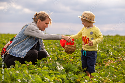 Kleinkind beim Erdbeeren selbst pflücken
