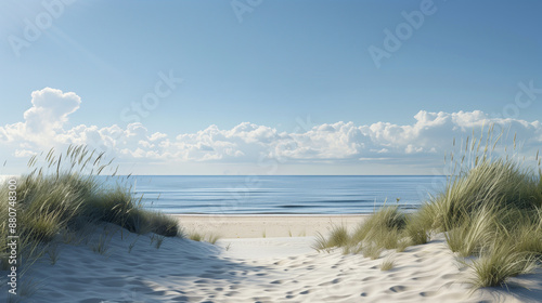 Dune beach panorama in summer 