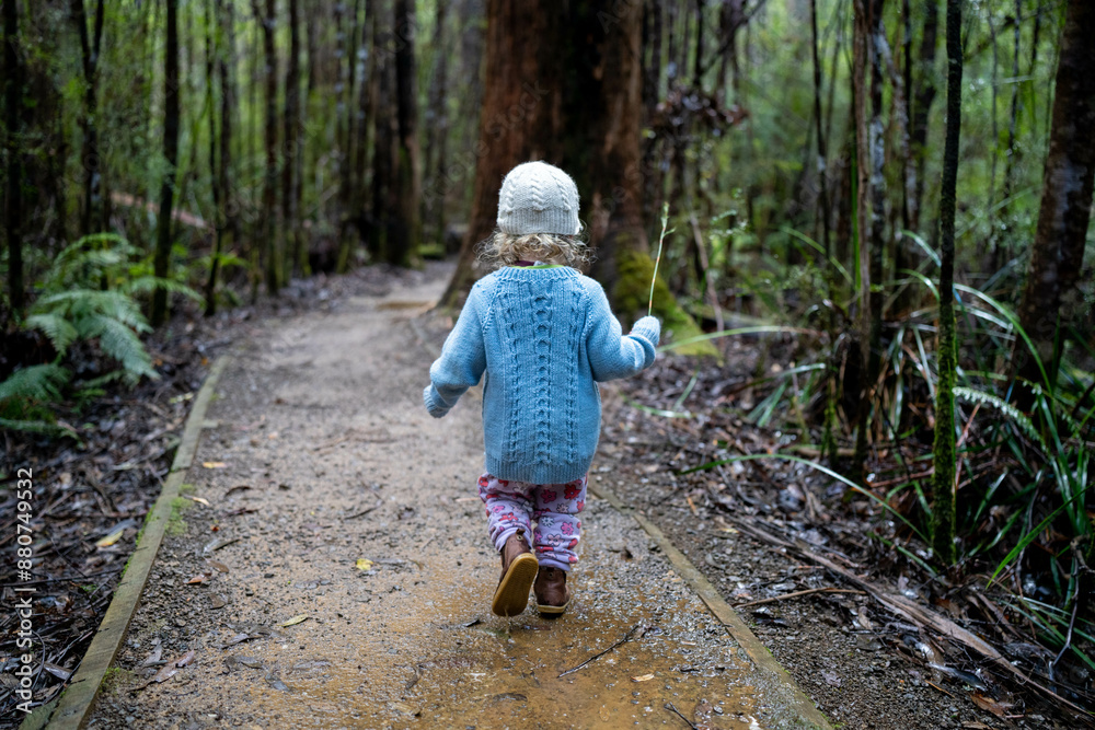 toddler hiking in the forest in winter wearing a beanie, walking on a trail in the australian bush. child exploring in nature and studying the environment and learning while exploring toddler hiking in the forest in winter wearing a beanie, walking on a trail in the australian bush. child exploring in nature and studying the environment and learning while exploring