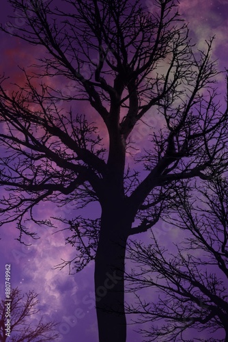 spooky halloween night