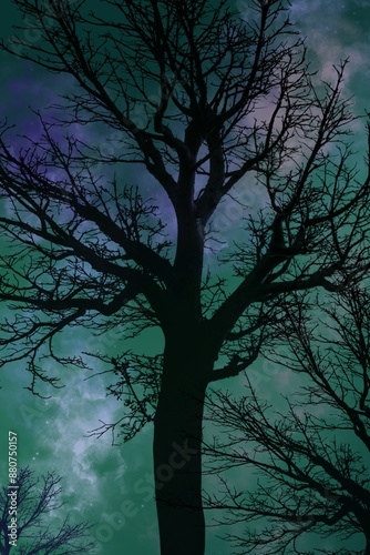 spooky halloween night