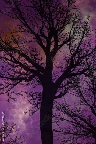 spooky halloween night