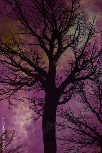 spooky halloween night