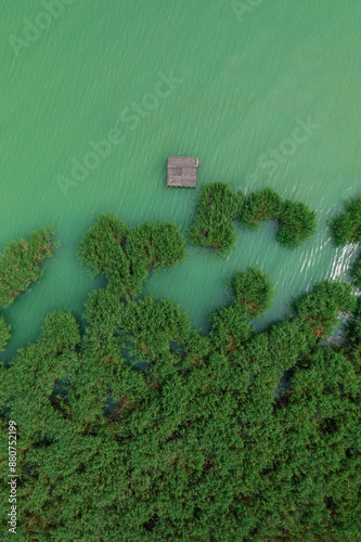 Balatonfured, Hungary - Reeds formation at lake Balaton from birds eye view. photo