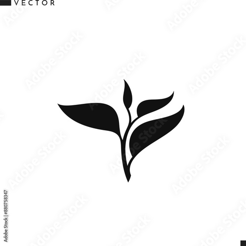 Tea leaves silhouette. Isolated branch   