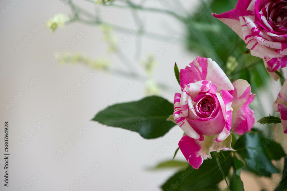 Obraz premium フラッシング