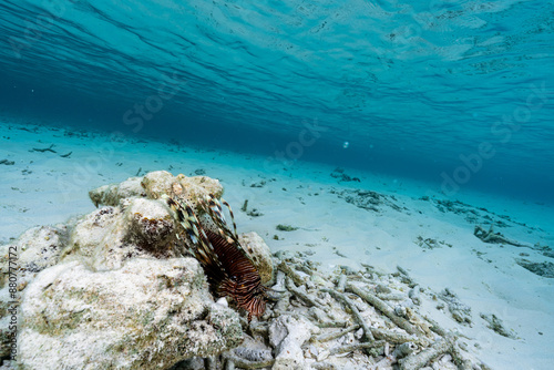 Fototapeta Naklejka Na Ścianę i Meble -  Maldives 2023