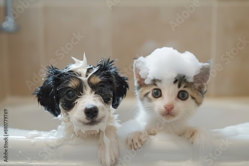Puppy and kitten in bathroom with a foam on heads, wet cat and dog together in a bathtub