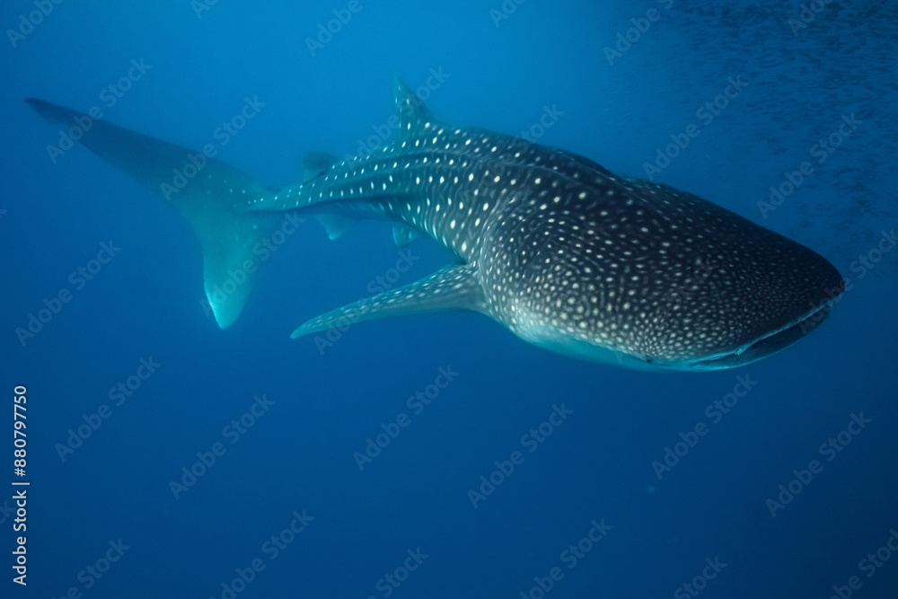 Maldives 2023 Maldives 2023