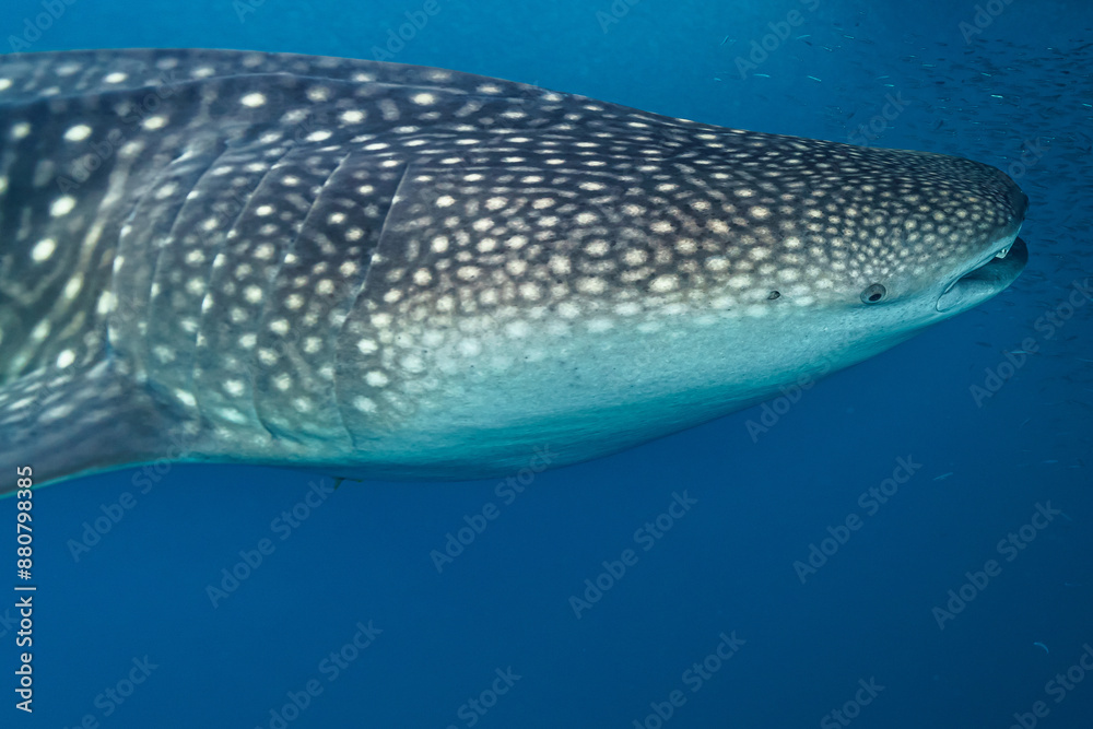 Maldives 2023 Maldives 2023
