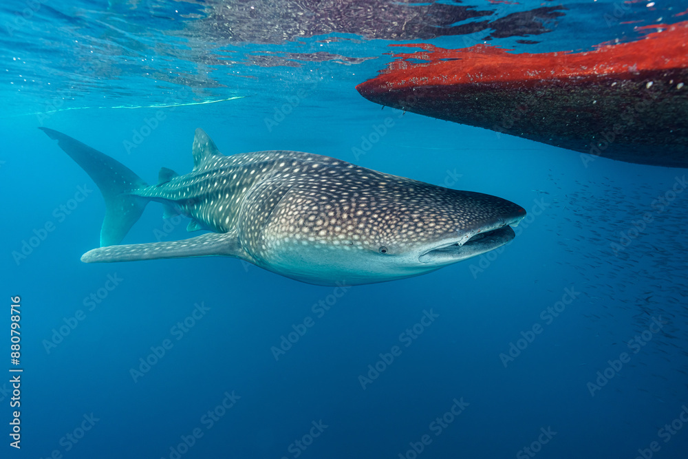 Maldives 2023 Maldives 2023