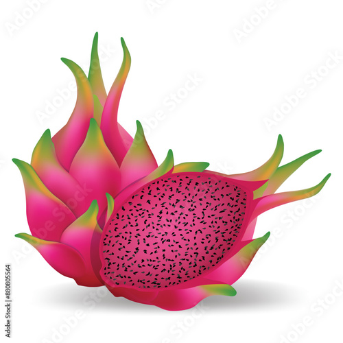 Red dragon fruit with shadow isolated on white background. Realistic dragon fruit.