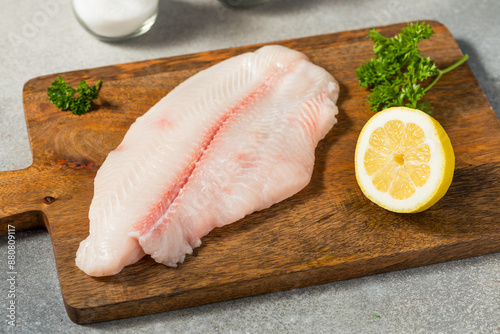 Organic Raw White Catfish Filet photo