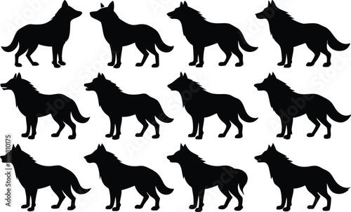 wolf silhouettes, Set of wolf black silhouette vector 