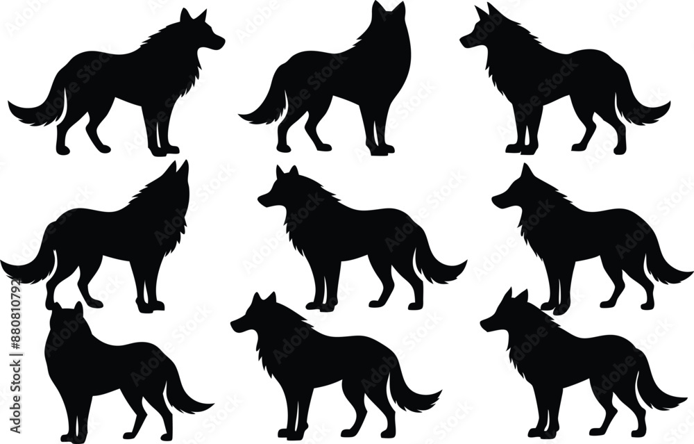 wolf silhouettes, Set of wolf black silhouette vector
wolf silhouettes, Set of wolf black silhouette vector