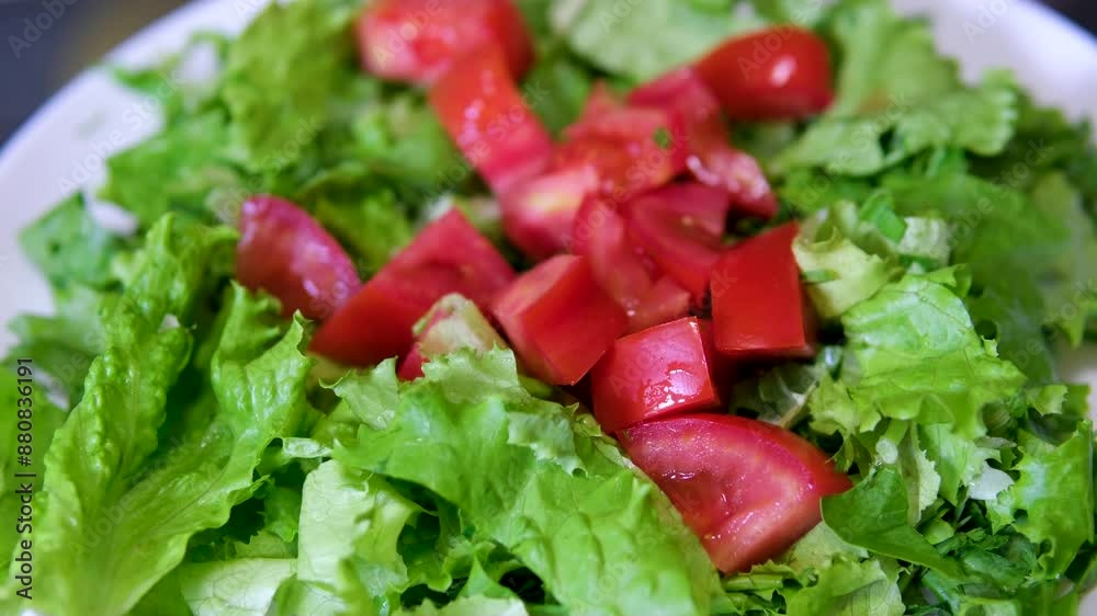 chef add chopped tomatoes in to bowl with salad leaves prepare fresh salad chef add chopped tomatoes in to bowl with salad leaves prepare fresh salad