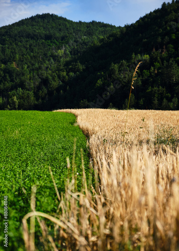 Foto scattata lungo la strada che connette Cabella Ligure a Cantalupo Ligure nella famosa Val Borbera.