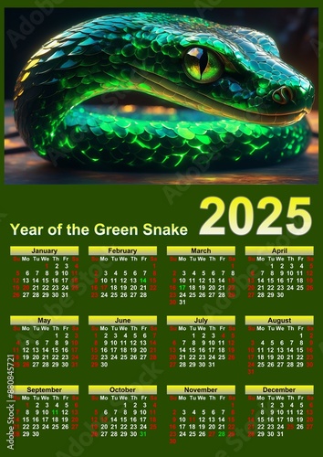 Illustration of a wall calendar 2025 of the Green Snake