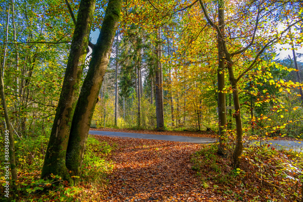 Obraz premium Fall - Autumn in the Walgau Valley, State of Vorarlberg, Austria