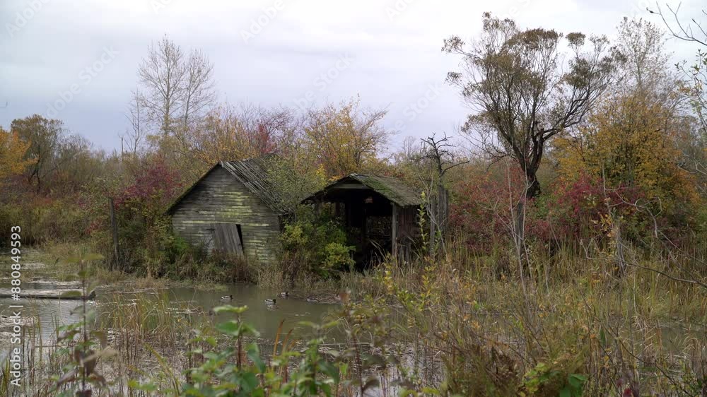Autumn Colours and Finn Slough Shacks 4K UHD. Autumn colours in the historic fishing settlement and rustic shacks on the banks of the Fraser River near Steveston in Richmond, British Columbia, Canada. Autumn Colours and Finn Slough Shacks 4K UHD. Autumn colours in the historic fishing settlement and rustic shacks on the banks of the Fraser River near Steveston in Richmond, British Columbia, Canada.
