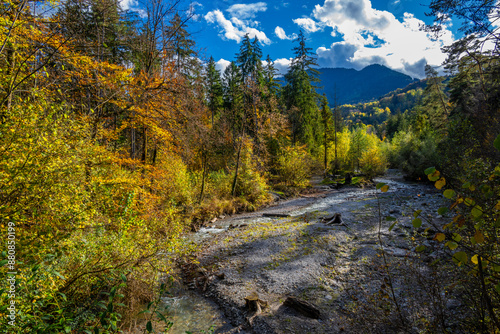 Fall - Autumn in the Walgau Valley, State of Vorarlberg, Austria