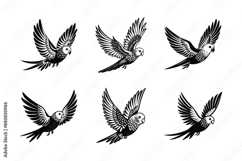 set of flying budgerigar bird Black Silhouette Bundle - Stunning Vector Illustrations for Wild or domestic animals Nature Lovers, isolated on white set of flying budgerigar bird Black Silhouette Bundle - Stunning Vector Illustrations for Wild or domestic animals Nature Lovers, isolated on white
