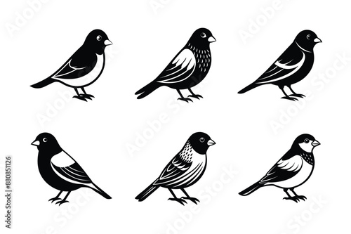 Wallpaper Mural set of bird Black Silhouette Bundle - Stunning Vector Illustrations for Wild or domestic animals Nature Lovers, isolated on white Torontodigital.ca