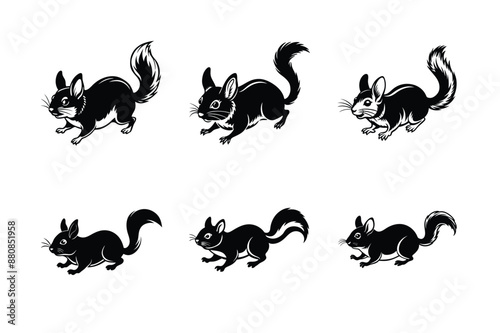 set of chinchilla running Black Silhouette Bundle - Stunning Vector Illustrations for Wild or domestic animals Nature Lovers, isolated on white