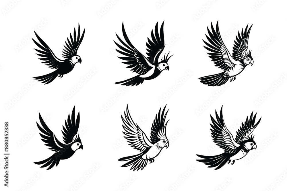 set of flying Cockatiel Parrots Bird Black Silhouette Bundle - Stunning Vector Illustrations for Nature Lovers, isolated on white set of flying Cockatiel Parrots Bird Black Silhouette Bundle - Stunning Vector Illustrations for Nature Lovers, isolated on white