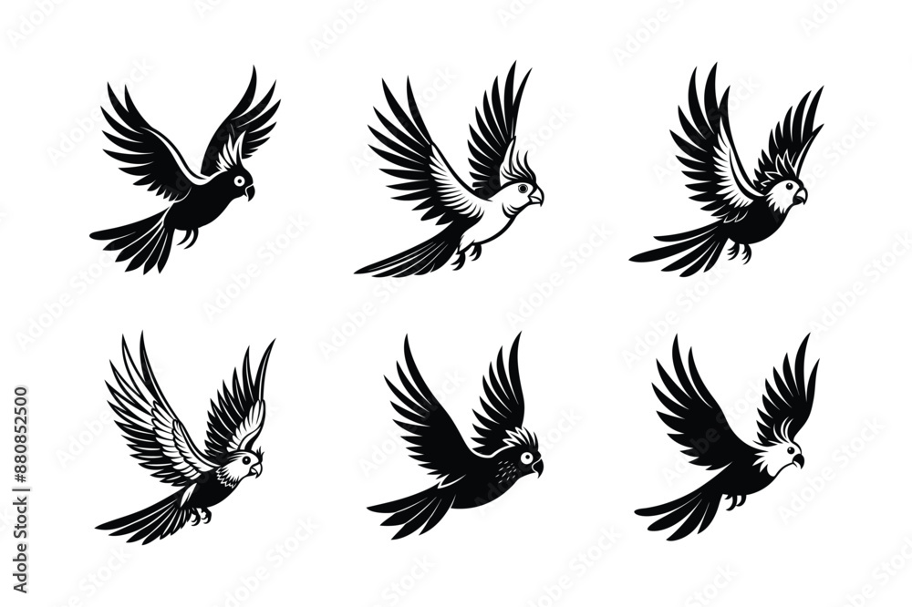 set of flying Cockatiel Parrots Bird Black Silhouette Bundle - Stunning Vector Illustrations for Nature Lovers, isolated on white set of flying Cockatiel Parrots Bird Black Silhouette Bundle - Stunning Vector Illustrations for Nature Lovers, isolated on white