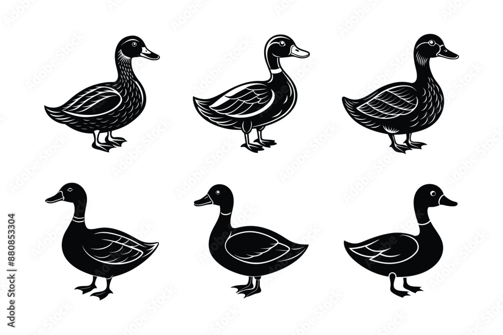 set of Duck Black Silhouette Bundle - Stunning Vector Illustrations for Nature Lovers, isolated on white set of Duck Black Silhouette Bundle - Stunning Vector Illustrations for Nature Lovers, isolated on white