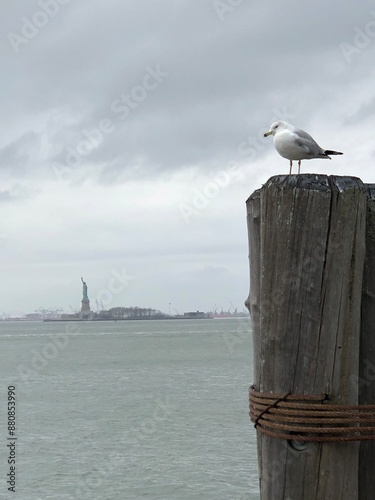 New York mouette statue de la liberté