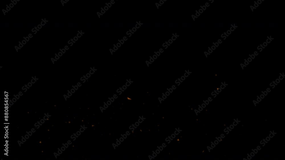 blurred particle animated background, particle effect for project presentation, wedding blurred particle animated background, particle effect for project presentation, wedding