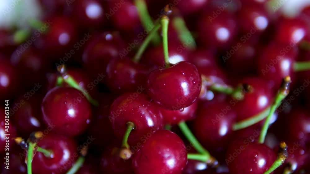 Cherry top view 4K video. Cherry top view background. Cherries with leaves background with leaves. Cherry top view 4K video. Cherry top view background. Cherries with leaves background with leaves.