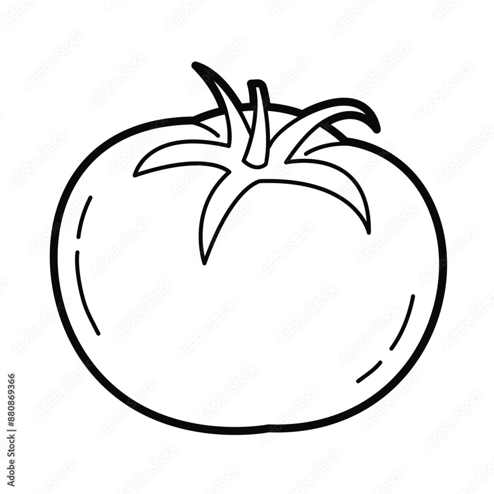 Tomato. Simple outline illustration, isolated on white background. Design element
Tomato. Simple outline illustration, isolated on white background. Design element