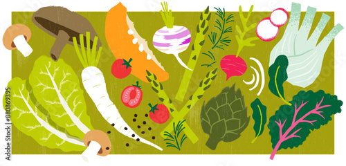Vegetables vector Illustration pack.