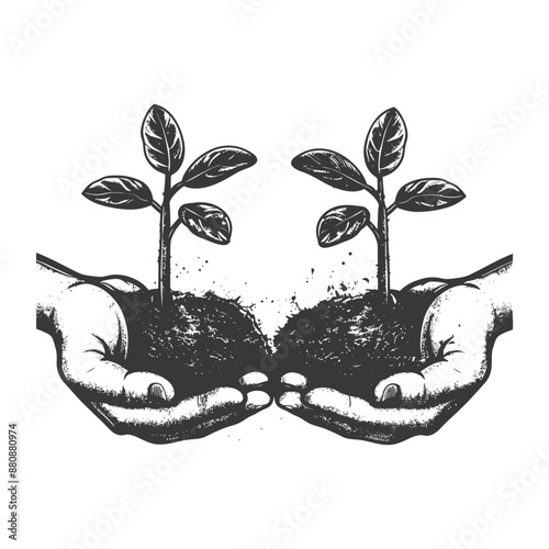 Two Hand holding soil with growing sprout with engraving style