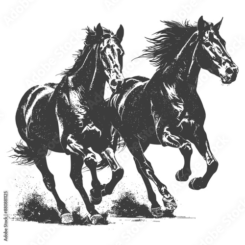 two horses galloping with engraving style