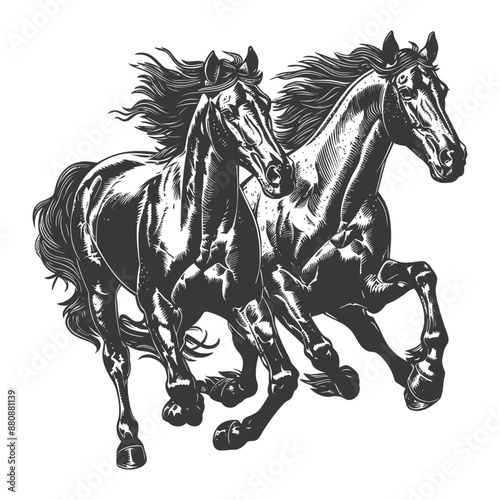 two horses galloping with engraving style