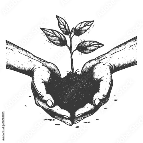 Two Hand holding soil with growing sprout with engraving style
