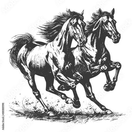 two horses galloping with engraving style