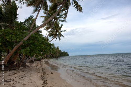 Yapp Islands Micronesia. Landscape with the sea on a sunny autumn day photo